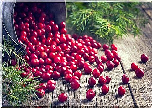 cranberry remedies to heal your wounds