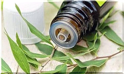 Tea tree essential oil is effective against sinusitis