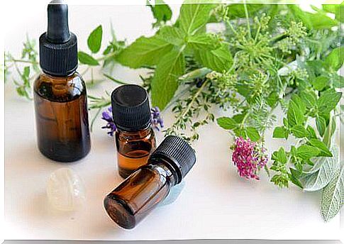 Fight sinusitis with oregano essential oil