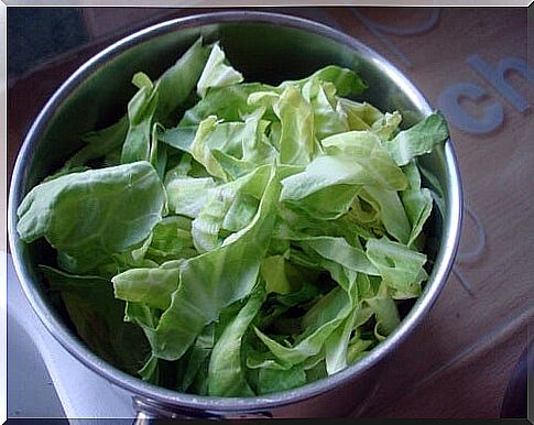 cabbage versus acidity