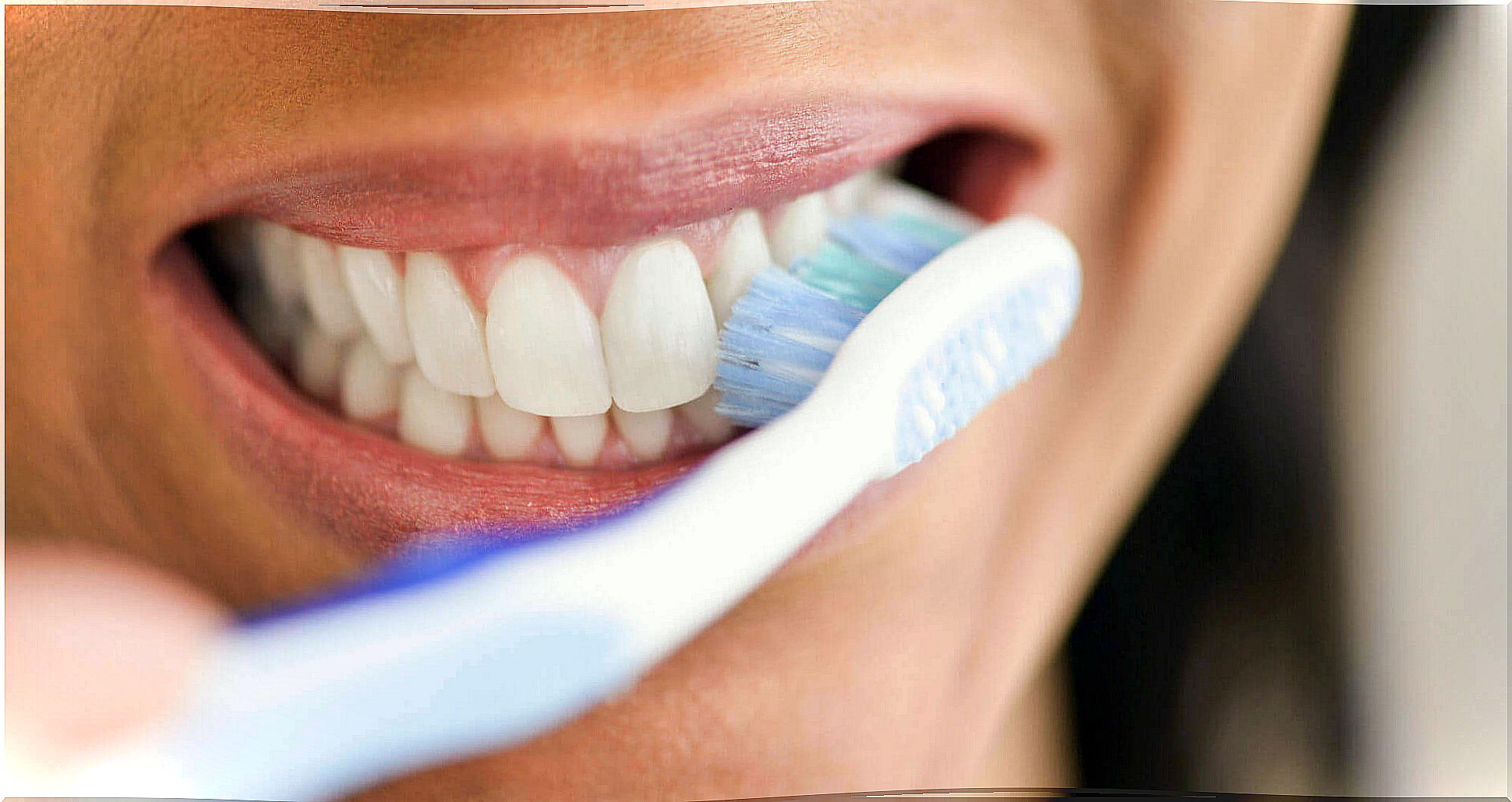 It is best to brush your teeth regularly and properly to prevent bleeding gums
