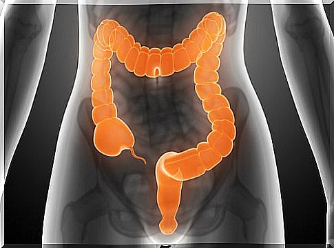 Helpful tips for maintaining a healthy colon.
