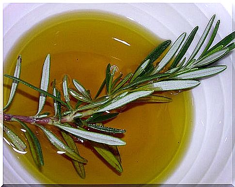 rosemary oil for long and healthy hair