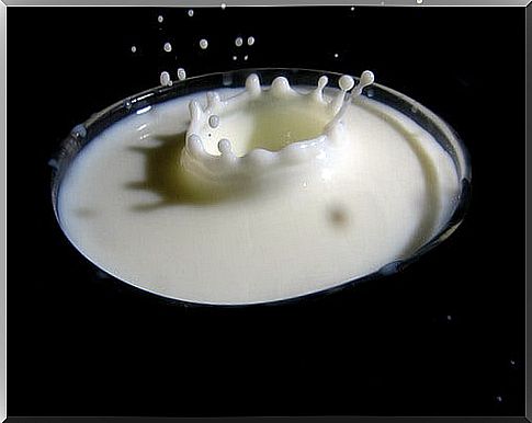 Too many dairy products damage the kidneys